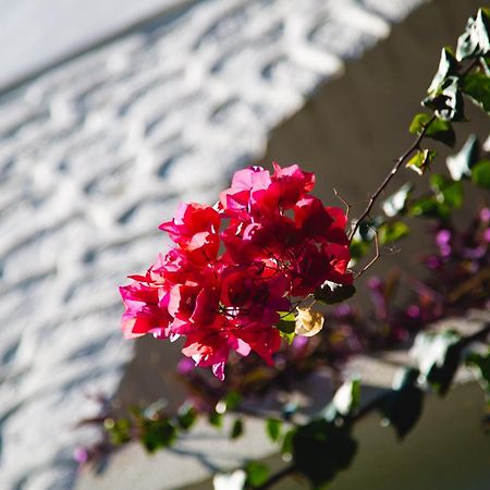 Hotel Karia Princess Bodrum Luaran gambar